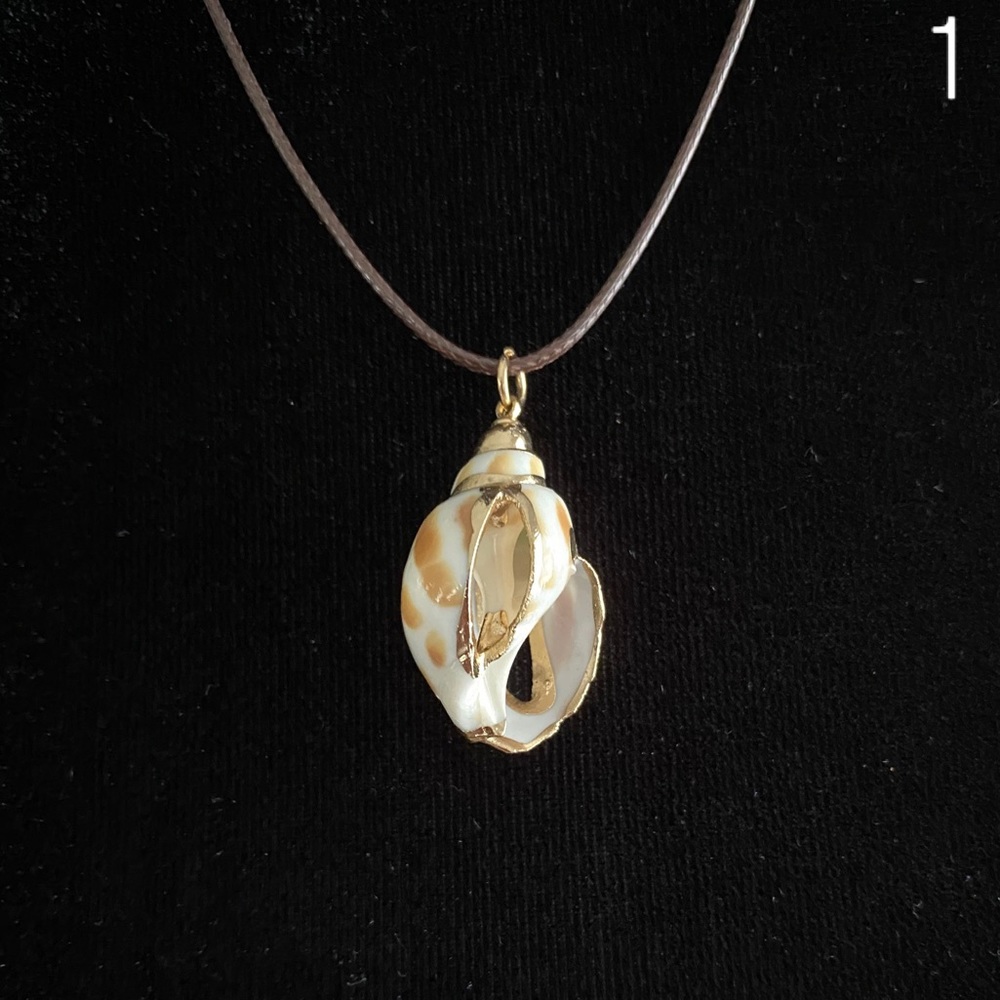NEW Conch Shell Necklace - Picture 3 of 7
